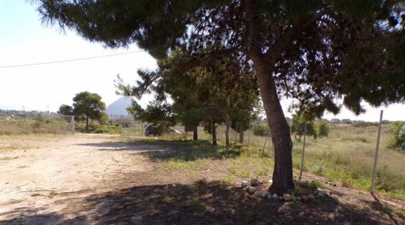Alicante - Elche - 15624m2