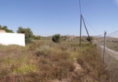 Casa de camp amb terreny en venda a la España, Elx, ref.: TR135317 foto