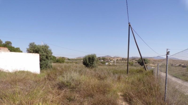 Alicante - Elche - 15624m2
