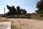 Casa de camp amb terreny en venda a la España, Elx, ref.: TR135317 foto