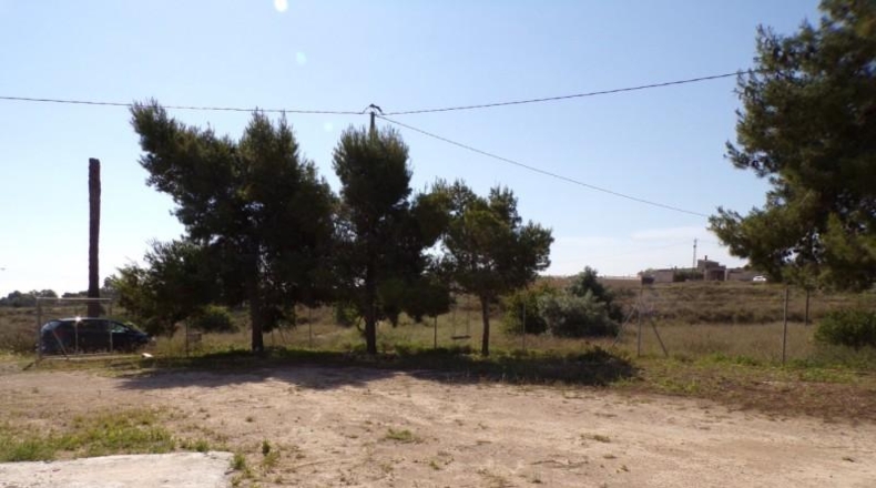 Alicante - Elche - 15624m2