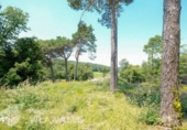 Sòl urbà en venda a la España, Sant Quirze Safaja, ref.: TR250912 foto