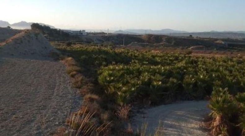 Múrcia - Fortuna - 35140m2