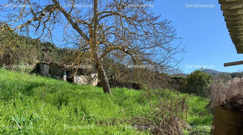 Huelva - Galaroza - 559m2