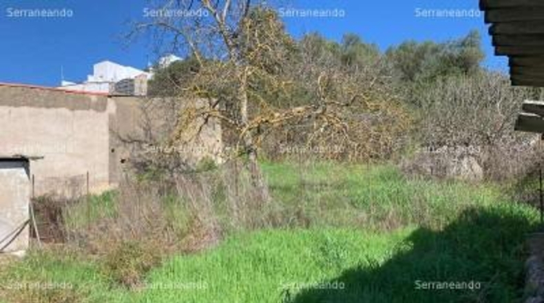 Huelva - Galaroza - 559m2