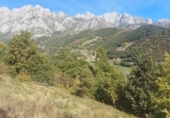 Земля на продажу у города Camaleño Фото