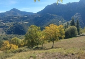 Земля на продажу у города Camaleño Фото