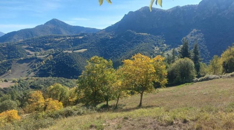 Cantàbria - Camaleño - 10452m2