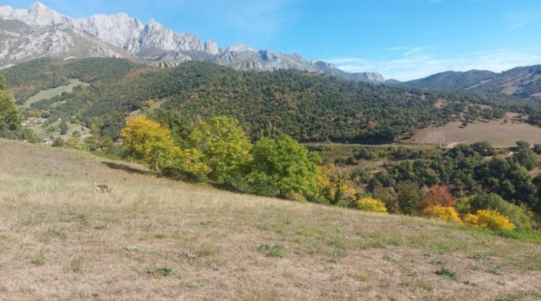 Cantàbria - Camaleño - 10452m2