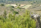 Terreny no urbanitzable en venda a la España, Benissa, ref.: TR112654 foto
