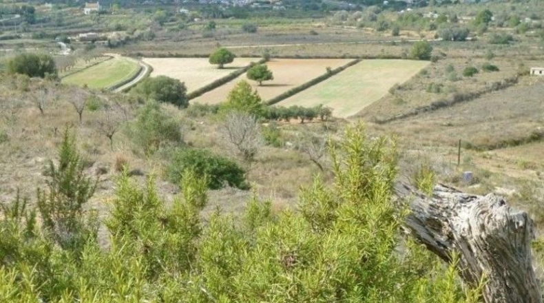 Alicante - Benisa - 12500m2