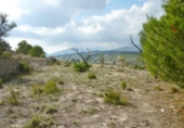 Terreny no urbanitzable en venda a la España, Benissa, ref.: TR112654 foto