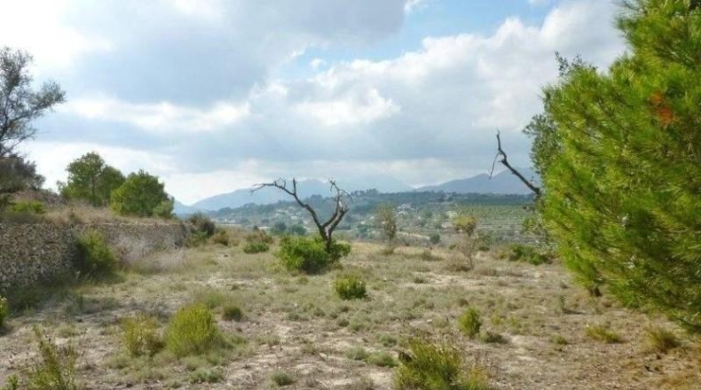 Alicante - Benisa - 12500m2