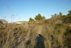 Foto 14