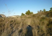 Terreny no urbanitzable en venda a la España, Benissa, ref.: TR112654 foto