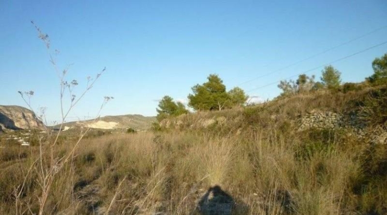 Alicante - Benisa - 12500m2