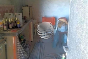 Foto 7