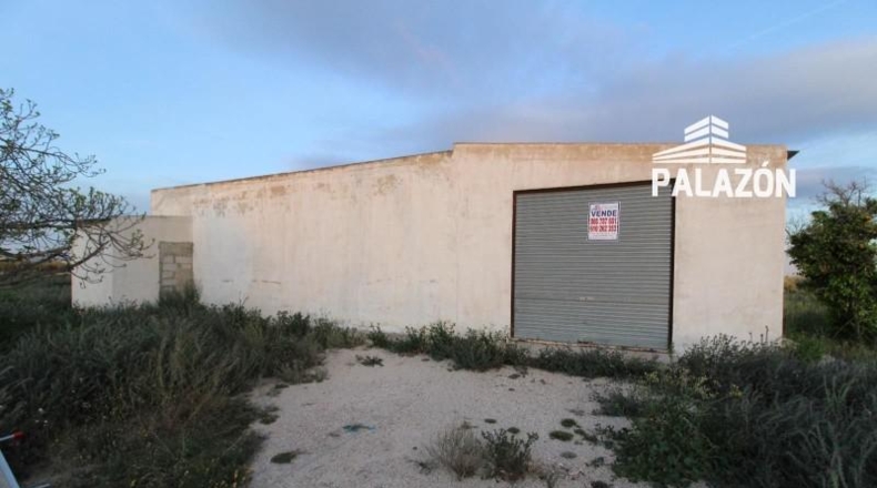 Alicante - Crevillente - 11000m2