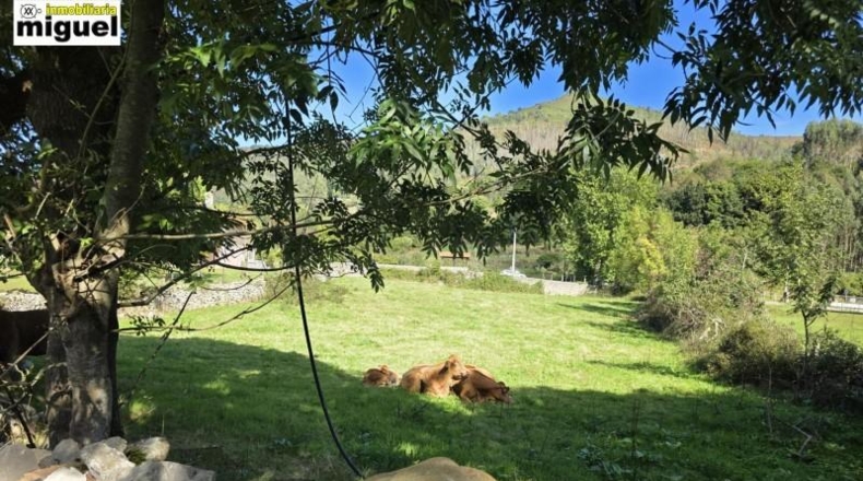 Cantàbria - Celucos - 2572m2