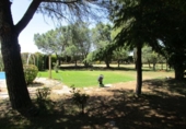 Land suitable for development for sale on España, Parada de Arriba, ref: TR114348 photo
