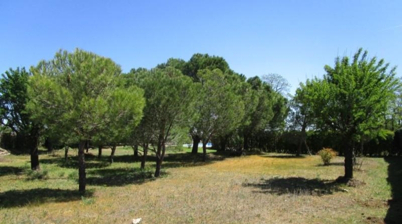 Salamanca - Parada de Arriba - 10000m2