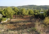 Sòl urbà en venda a la España, Borriol, ref.: TR114722 foto
