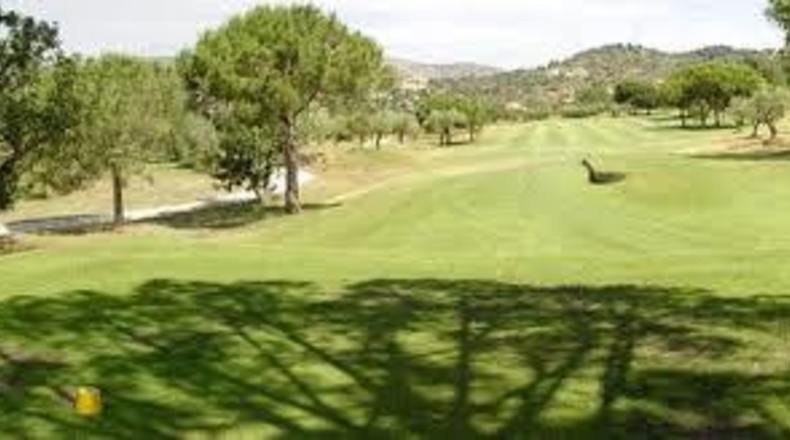 Castellón - Borriol - 1696m2
