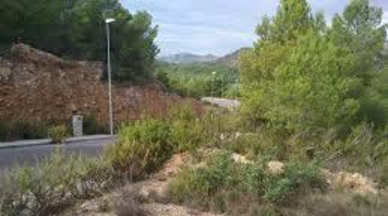 Castellón - Borriol - 1696m2