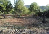 Sòl urbà en venda a la España, Borriol, ref.: TR114722 foto