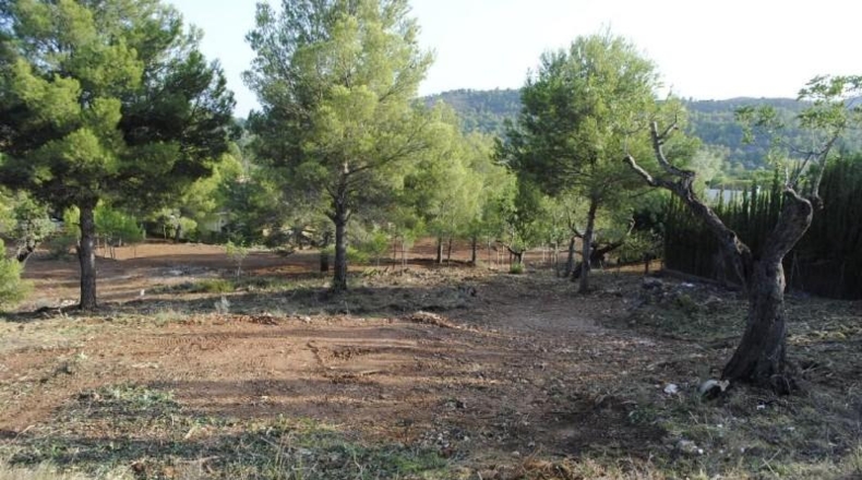 Castellón - Borriol - 1696m2