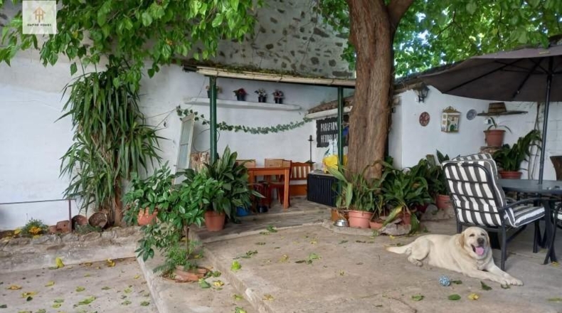 Cáceres - Brozas - 336m2