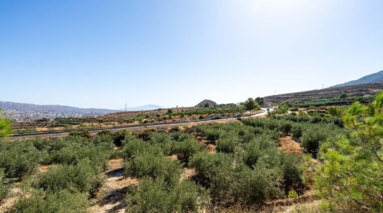 Almería - Íllar - 8116m2