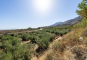 Casa amb terreny en venda a la España, Íllar, ref.: TR341792 foto