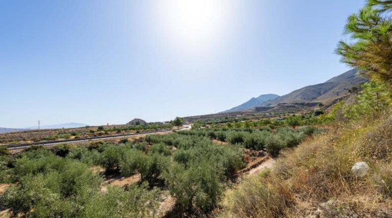 Almería - Íllar - 8116m2