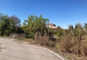Parcel·la urbanitzable en venda a la España, Múrcia, ref.: TR342797 foto
