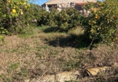 Parcel·la urbanitzable en venda a la España, Múrcia, ref.: TR342797 foto