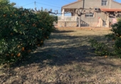 Parcel·la urbanitzable en venda a la España, Múrcia, ref.: TR342797 foto