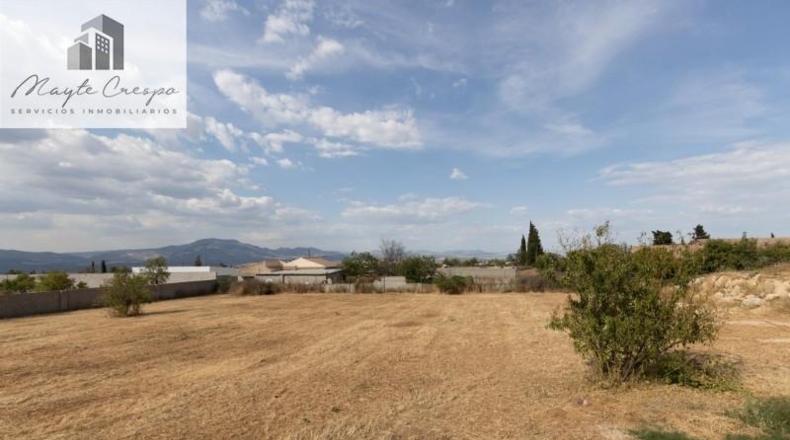 Granada - Moraleda de Zafayona - 4550m2