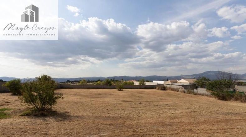 Granada - Moraleda de Zafayona - 4550m2