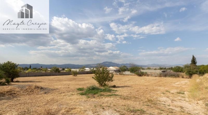 Granada - Moraleda de Zafayona - 4550m2