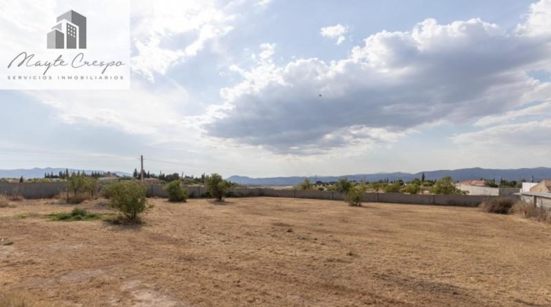 Granada - Moraleda de Zafayona - 4550m2
