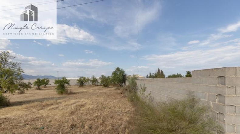 Granada - Moraleda de Zafayona - 4550m2