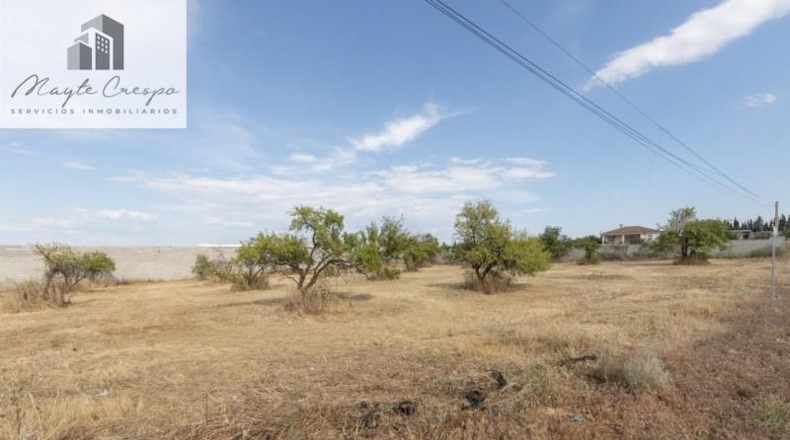 Granada - Moraleda de Zafayona - 4550m2