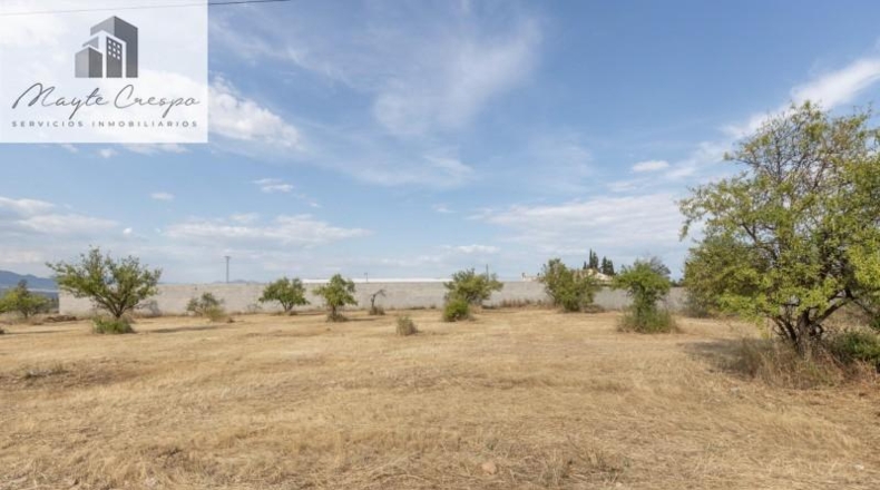 Granada - Moraleda de Zafayona - 4550m2