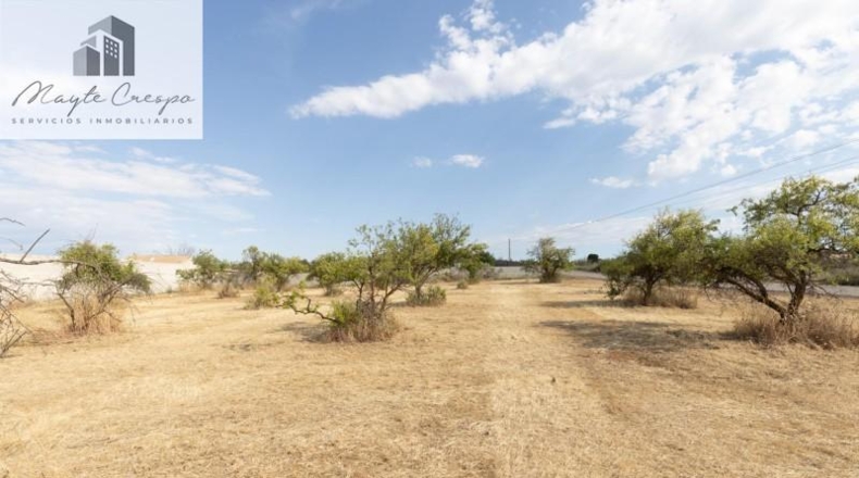 Granada - Moraleda de Zafayona - 4550m2