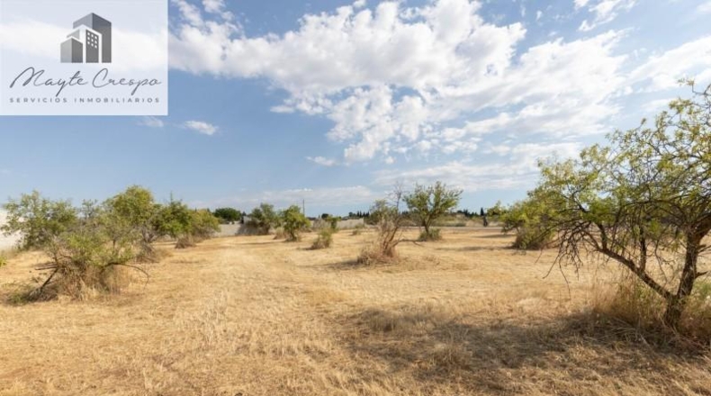 Granada - Moraleda de Zafayona - 4550m2