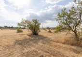 Non-developable land for sale on España, Moraleda de Zafayona, ref: TR256067 photo