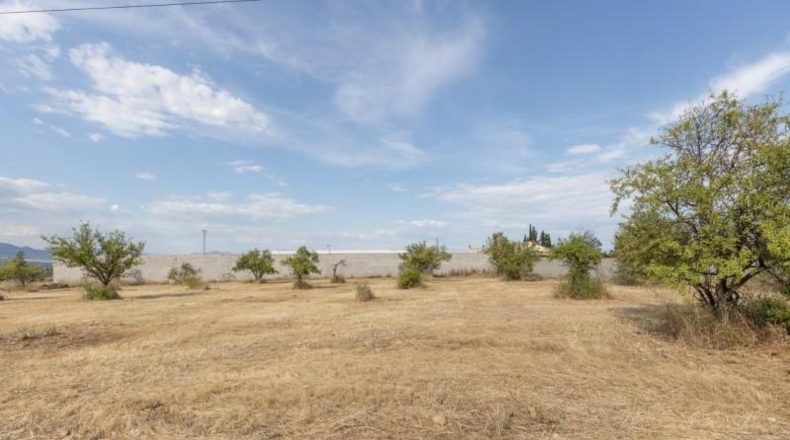 Granada - Moraleda de Zafayona - 4550m2