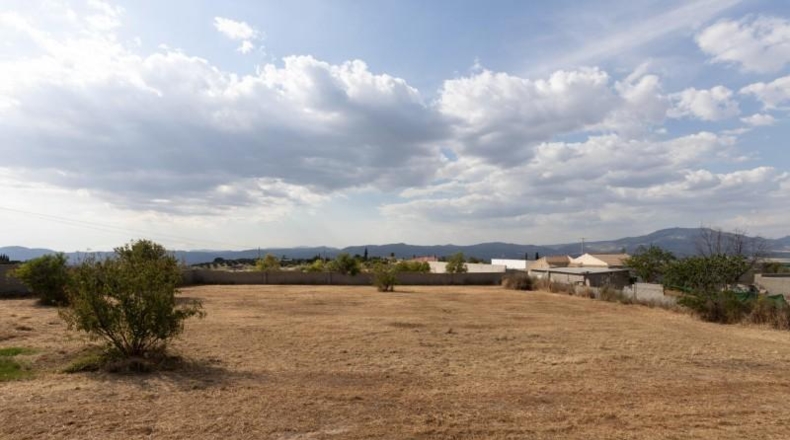 Granada - Moraleda de Zafayona - 4550m2