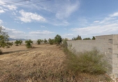 Non-developable land for sale on España, Moraleda de Zafayona, ref: TR255441 photo